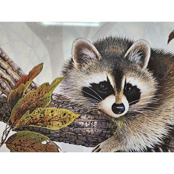 Jim Oliver Raccoon 1984 Signed Embossed Lithograph Framed Wildlife Art Print - Picture 3 of 11